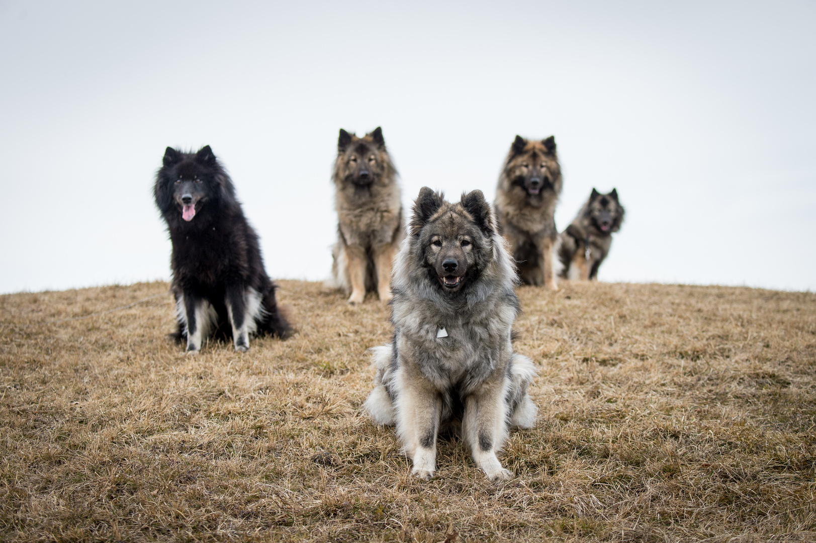 Gruppenbild mit Dame