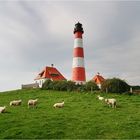 Gruppenbild mit Leuchtturm