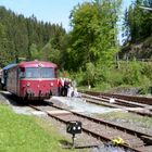 Gruppenbild mit Schienenbus