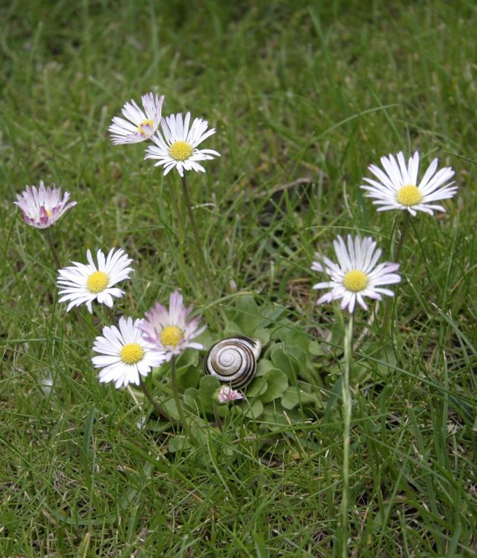 Gruppenbild mit Schnecke