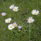 Gruppenbild mit Schnecke