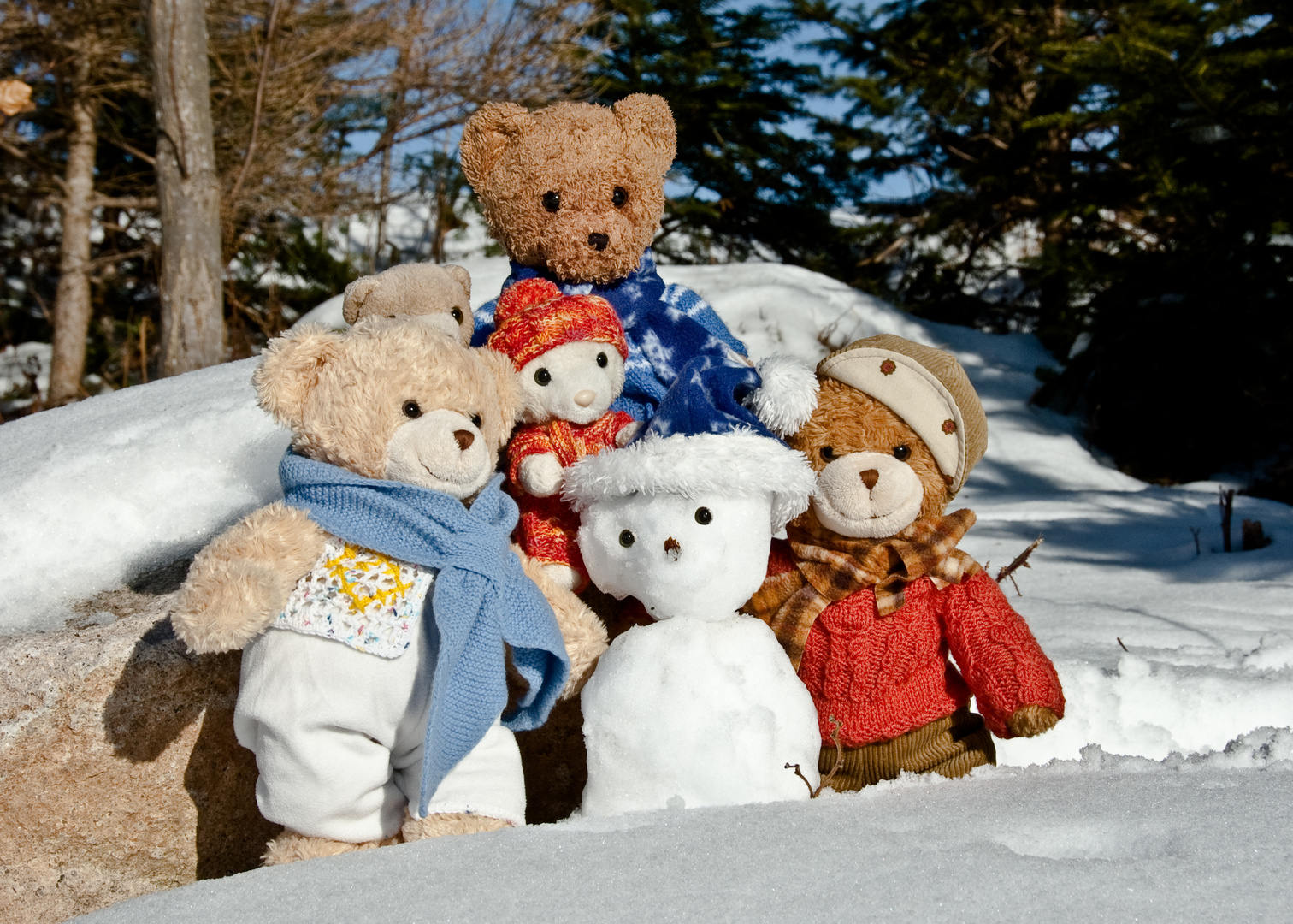 Gruppenbild mit Schneebären-Dame