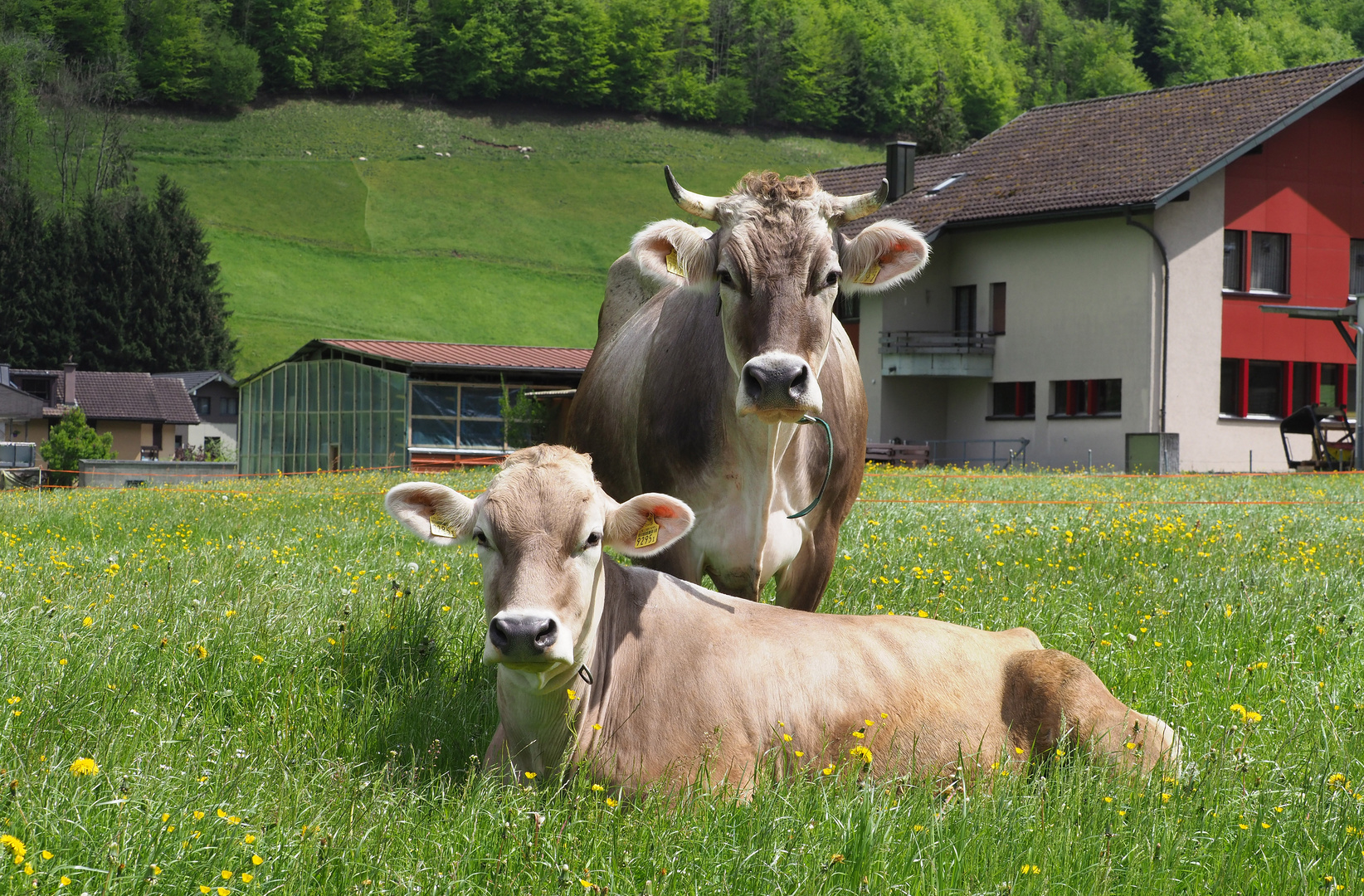 GRUPPENBILD MIT ZWEI DAMEN