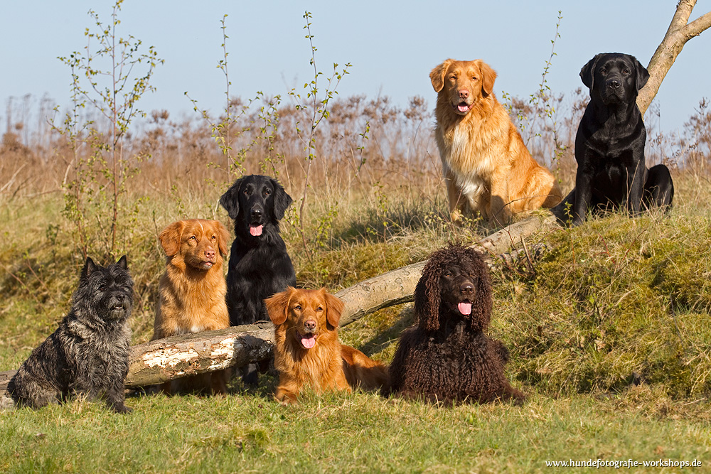 Gruppenbild vom Dummytraining