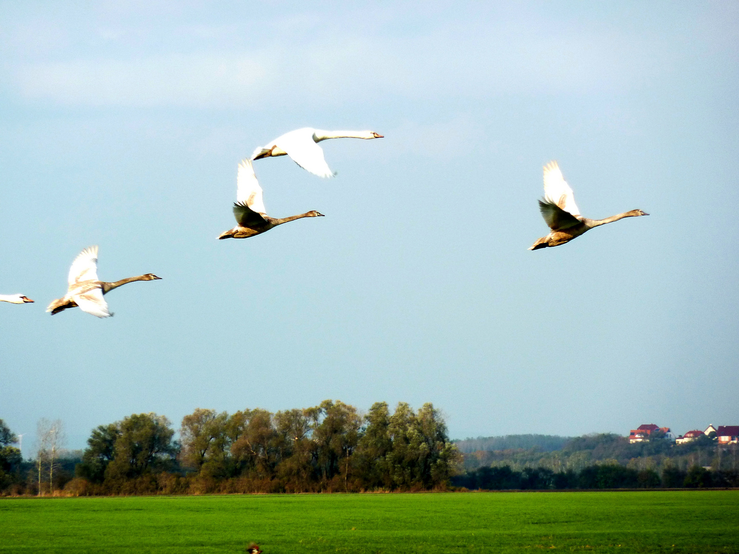 Gruppenflug