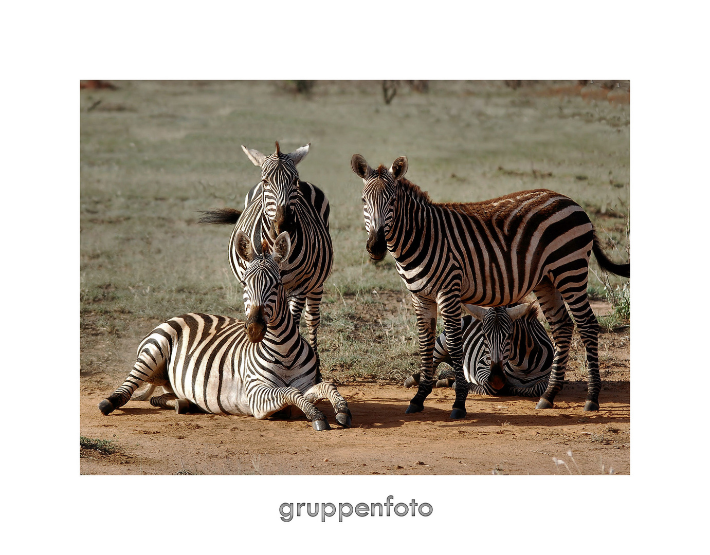 gruppenfoto