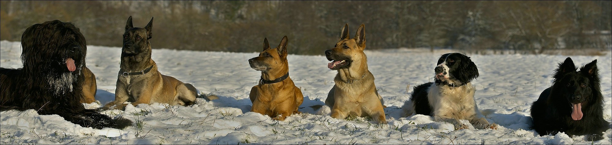 Gruppenfoto