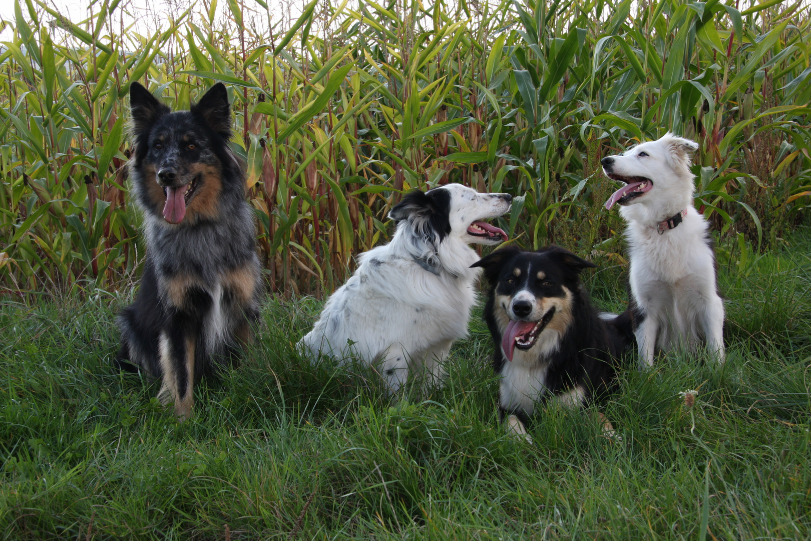 Gruppenfoto