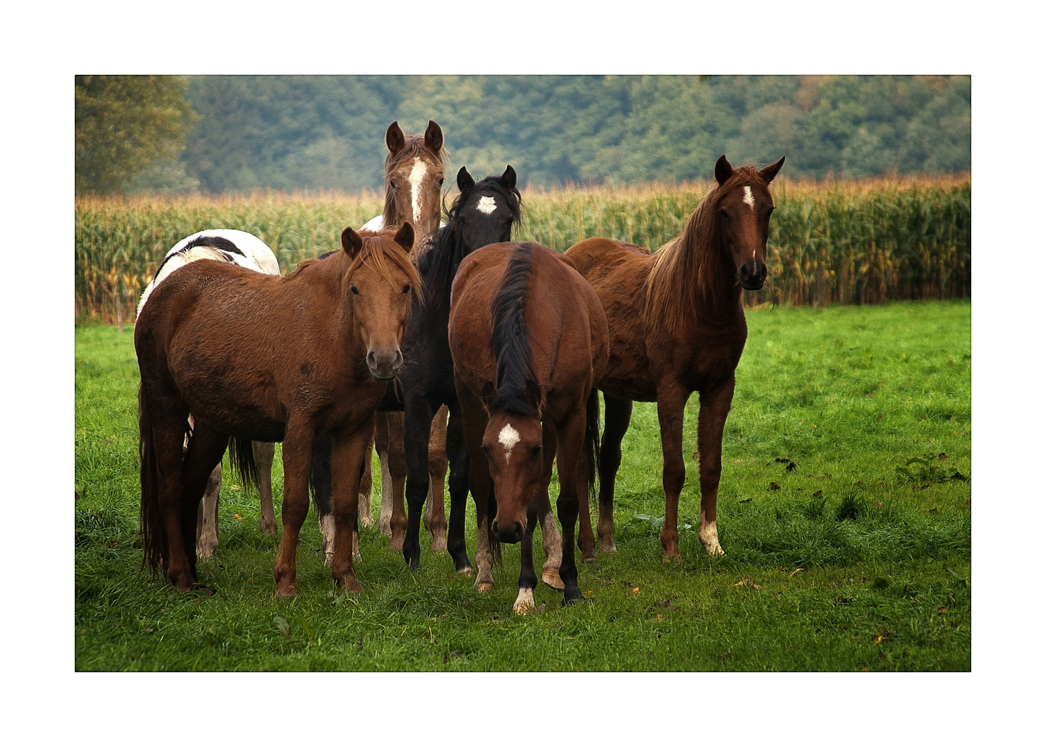 Gruppenfoto