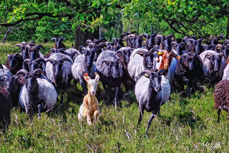 Gruppenfoto