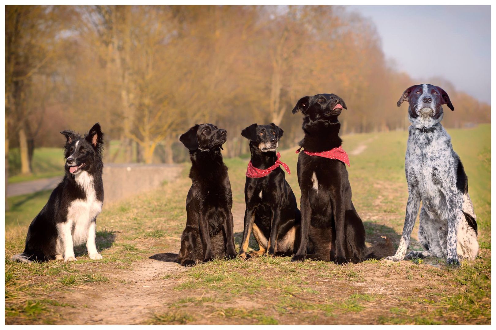 Gruppenfoto - bitte alle in die Kamera schaun... :-)