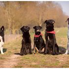 Gruppenfoto - bitte alle in die Kamera schaun... :-)