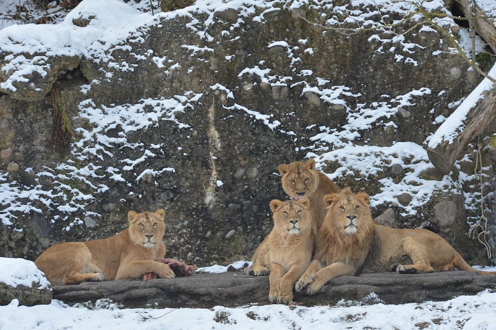 [ Gruppenfoto - bitte lächeln ]