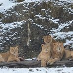 [ Gruppenfoto - bitte lächeln ]