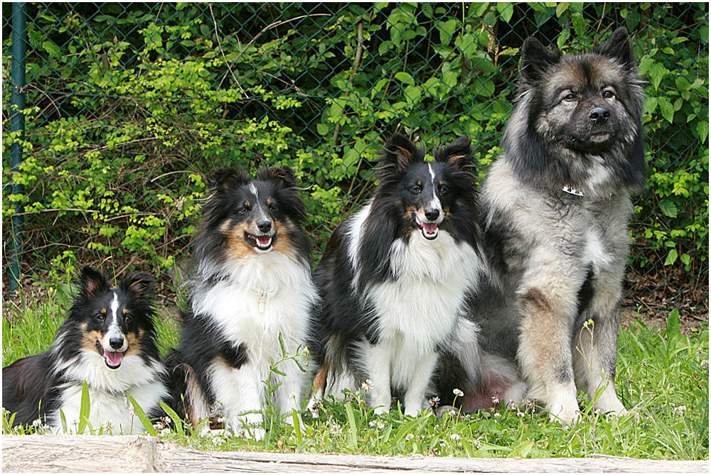 Gruppenfoto