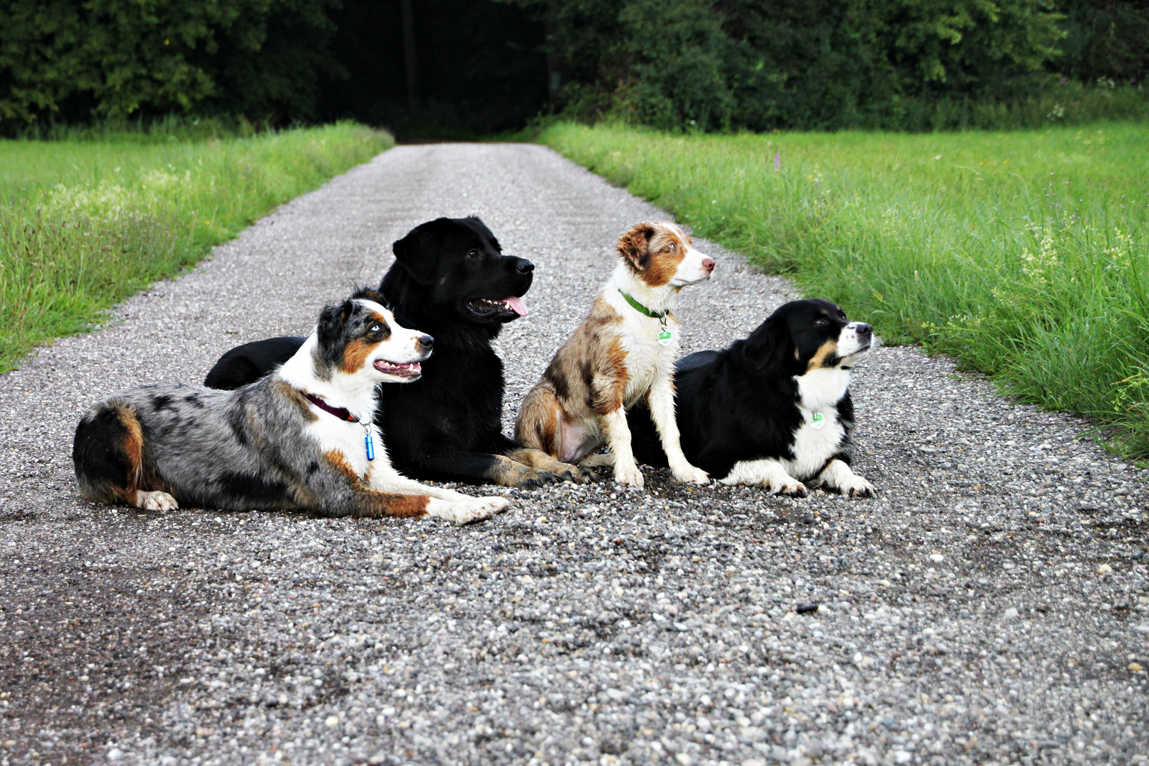 Gruppenfoto der Generationen