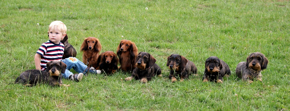 Gruppenfoto mit Hund