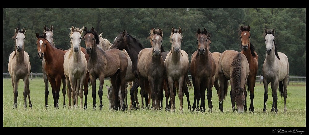 Gruppenfoto ohne...