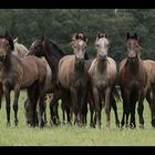 Gruppenfoto ohne...