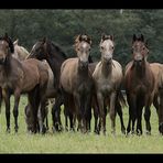 Gruppenfoto ohne...