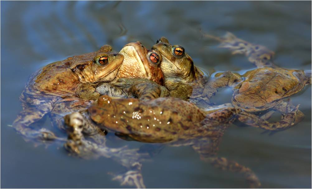 *Gruppenkuscheln*