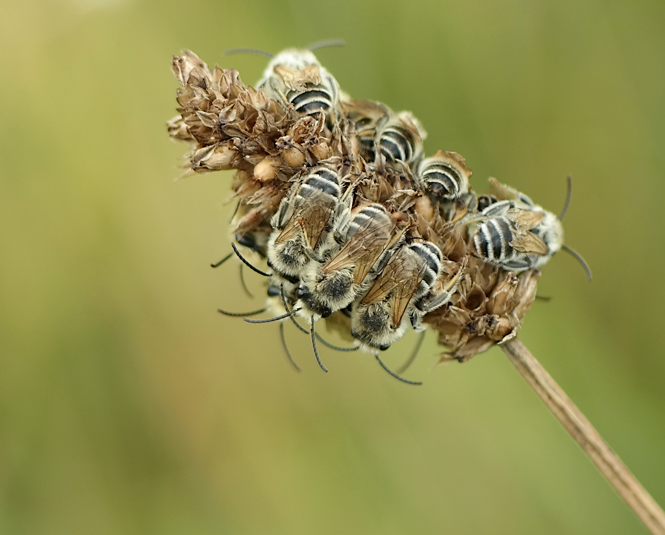 Gruppenkuscheln