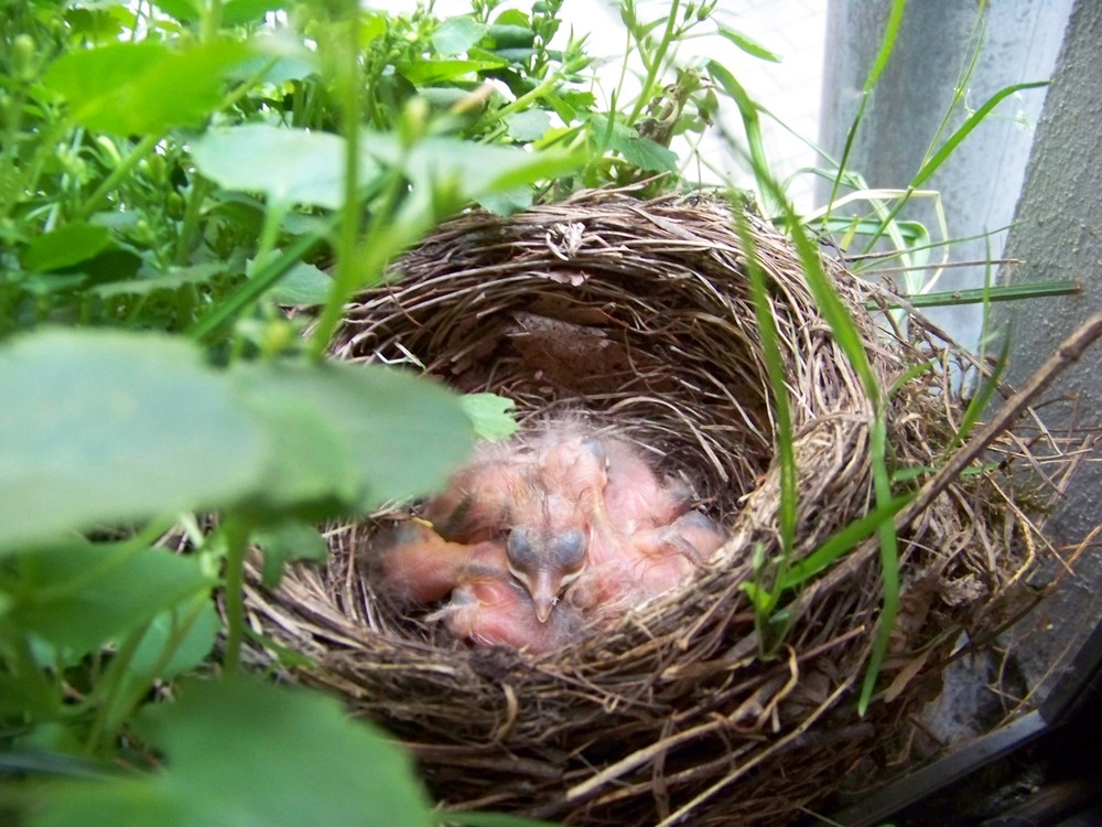 Gruppenkuscheln