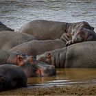 Gruppenkuscheln