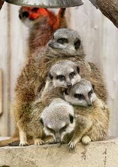 Gruppenkuscheln mit Beleuchtung