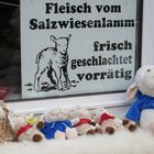 Gruselige Neuigkeiten vom Salzwiesenlamm in Greetsiel