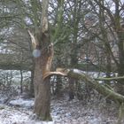 Gruseliges Gesicht im Schnee