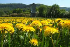 Gruß an die Sommerzeit