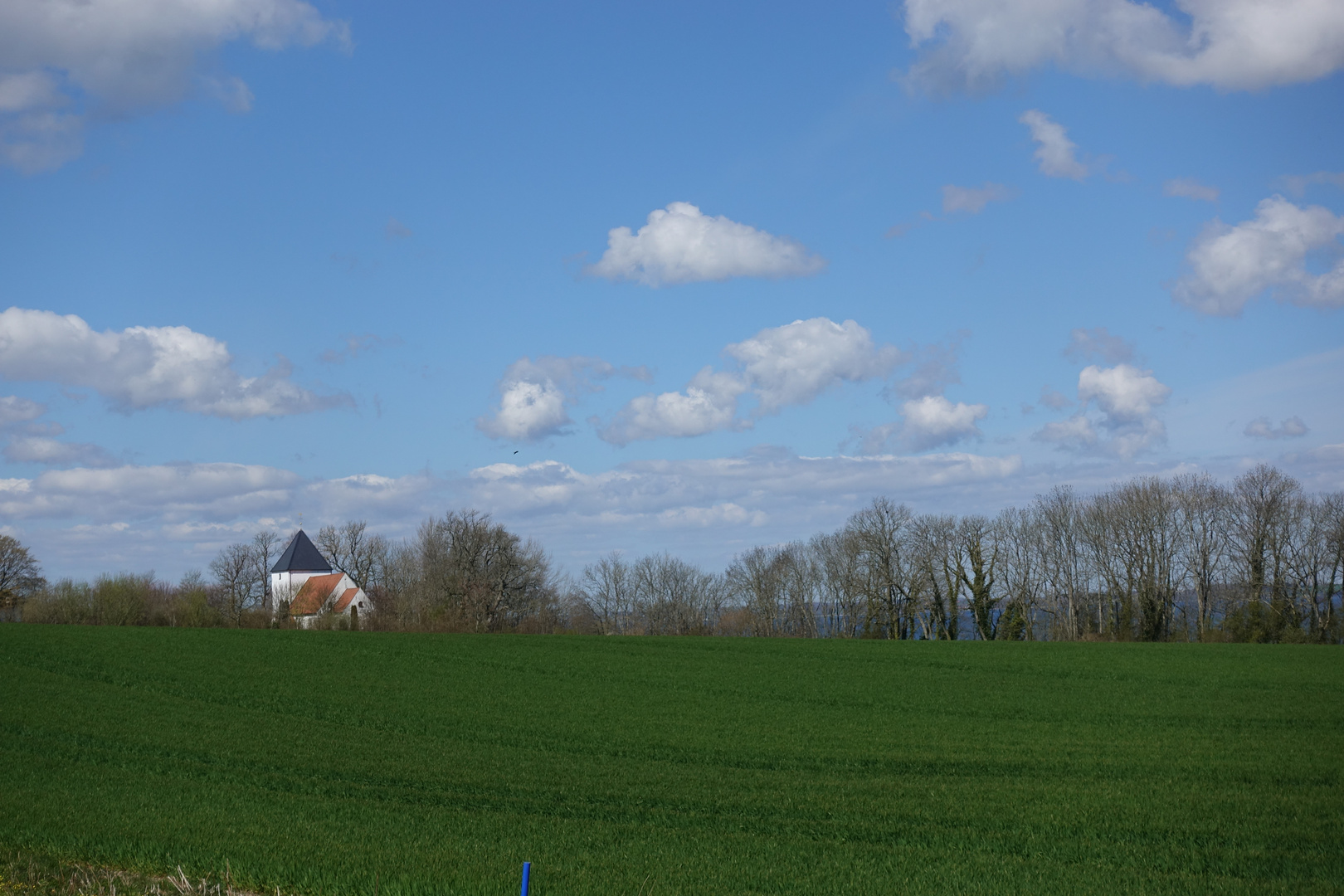 Gruß aus Angeln !