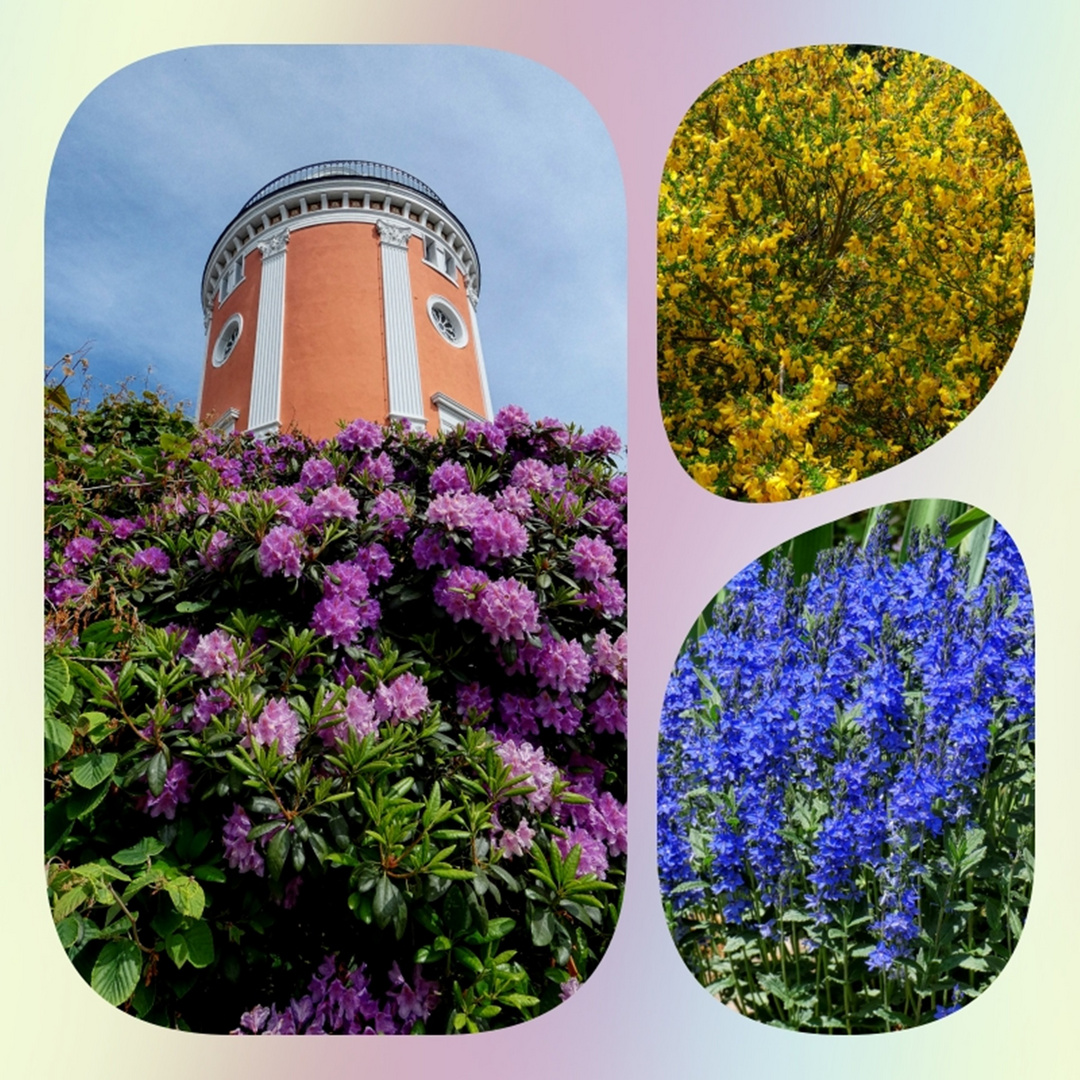 Gruß aus dem Botan. Garten Wuppertal