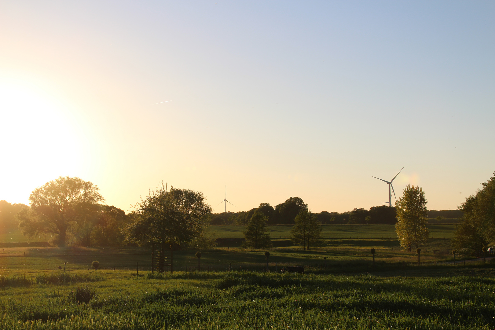 Gruß aus dem Frühsommer