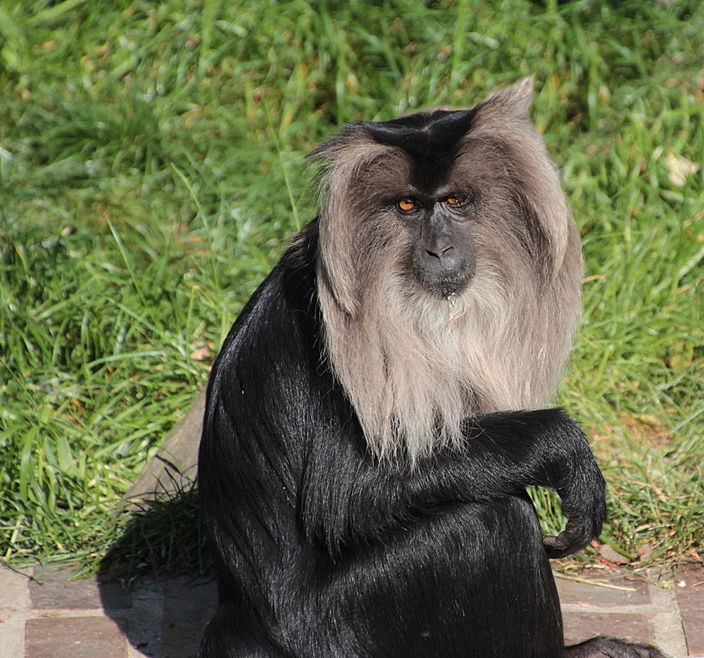 Gruß aus dem Leipziger Zoo