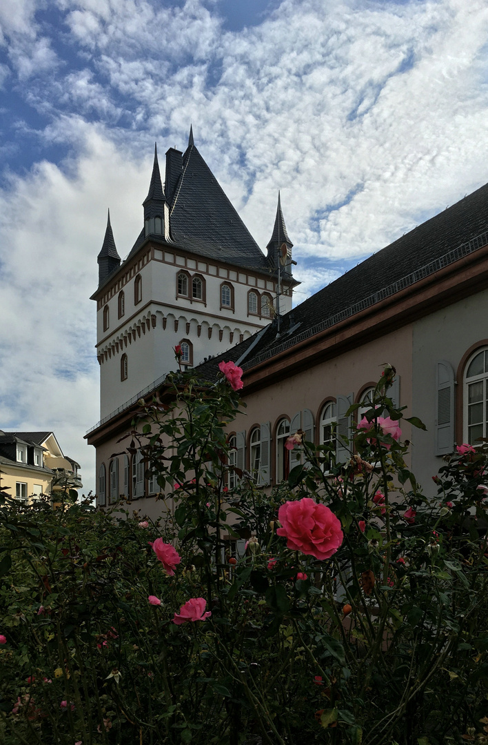 Gruß aus der Rosenstadt Eltville am Rhein