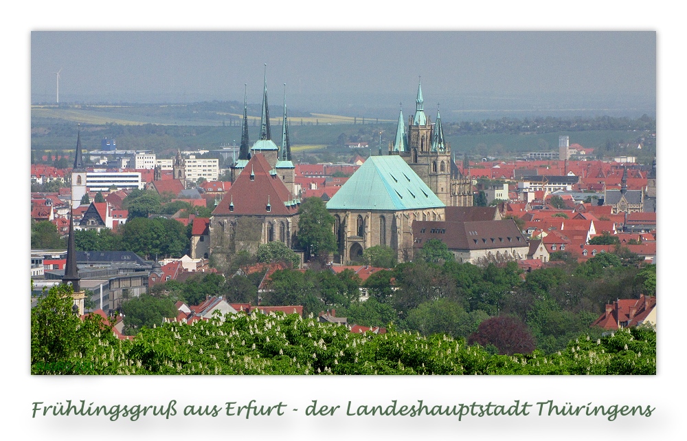 GRUß AUS ERFURT