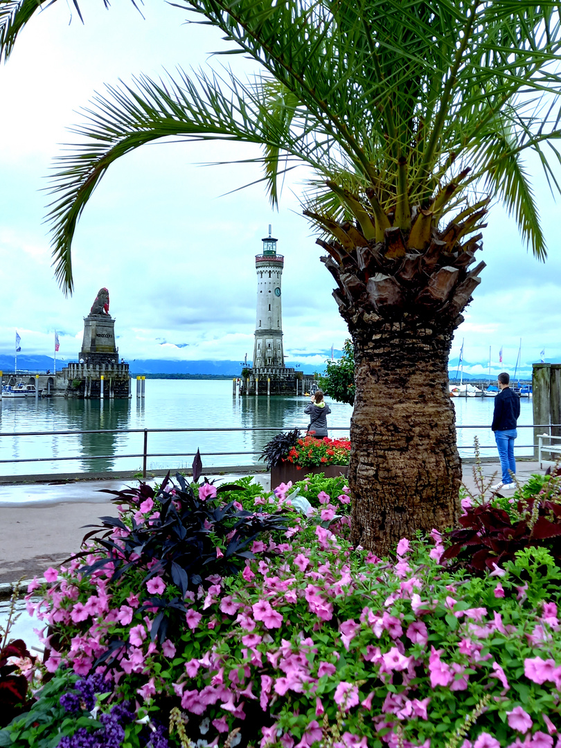 Gruß aus Lindau