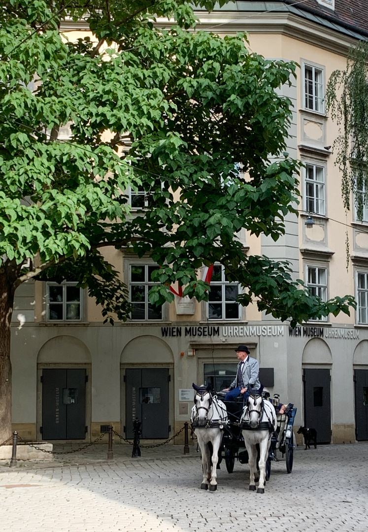 Gruß aus Wien 