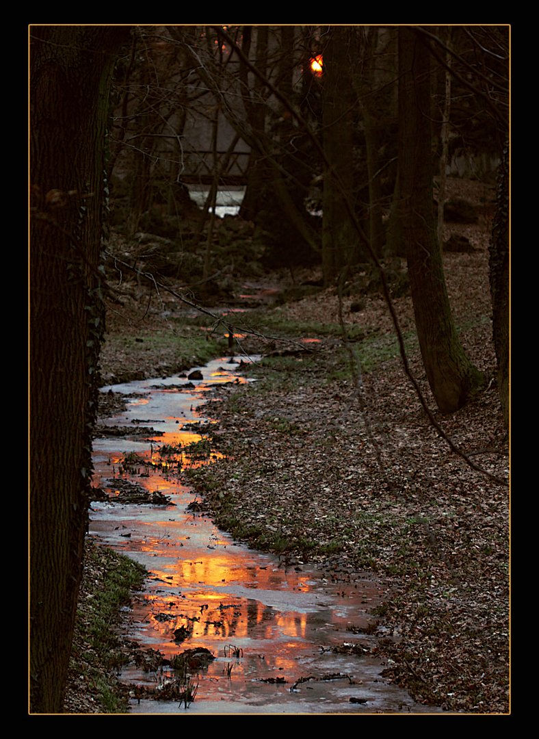 Gruß der Sonne..................