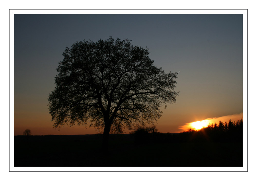 ...Gruß vom Abend an die Morgendämmerung...