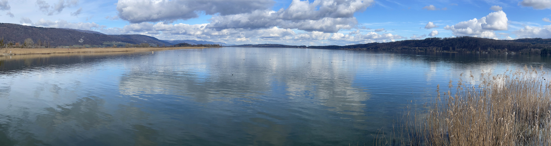 Gruss vom Bielersee