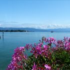 Gruß vom Bodensee