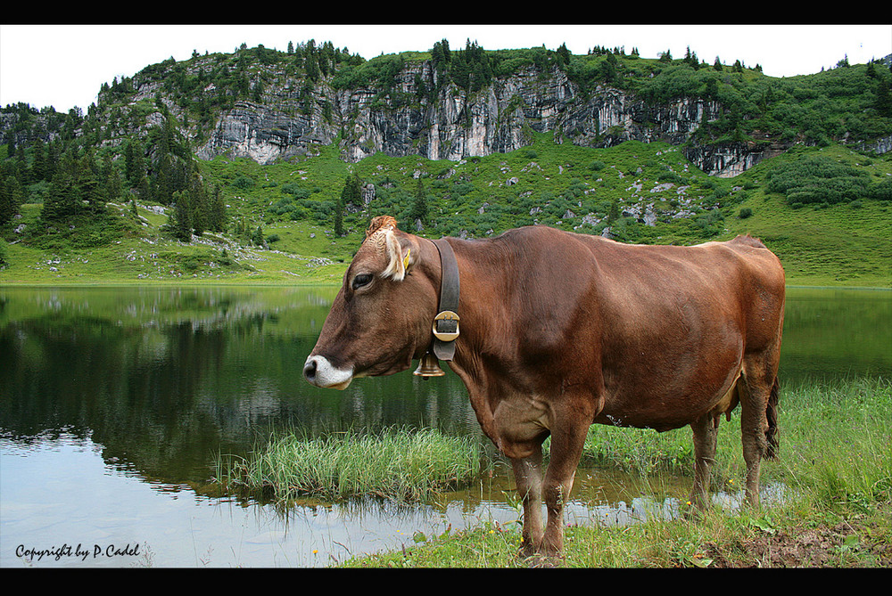 Gruß vom Körbersee