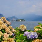 Gruss vom Lago Maggiore