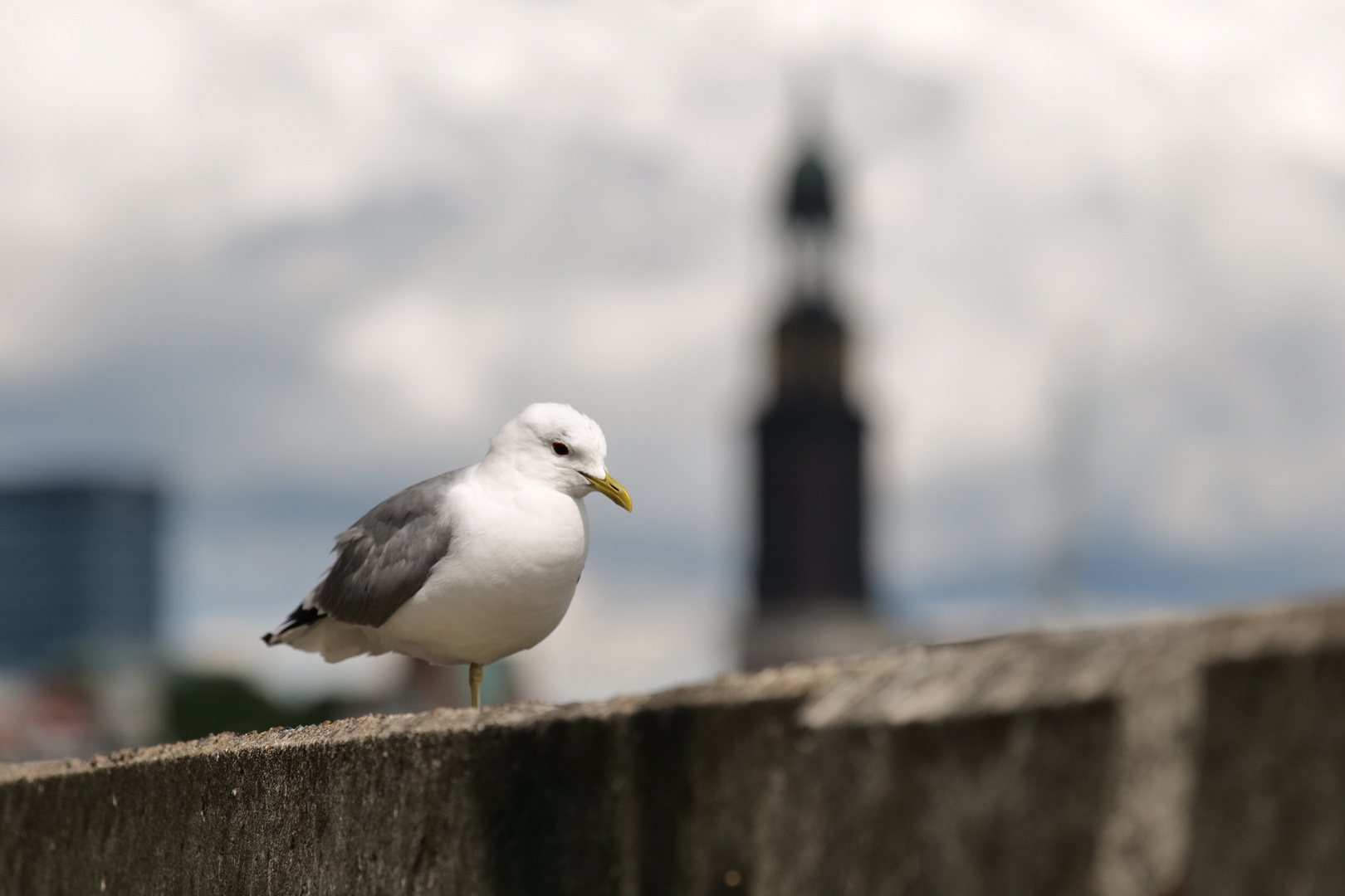 Gruß vom Michel / Hamburg