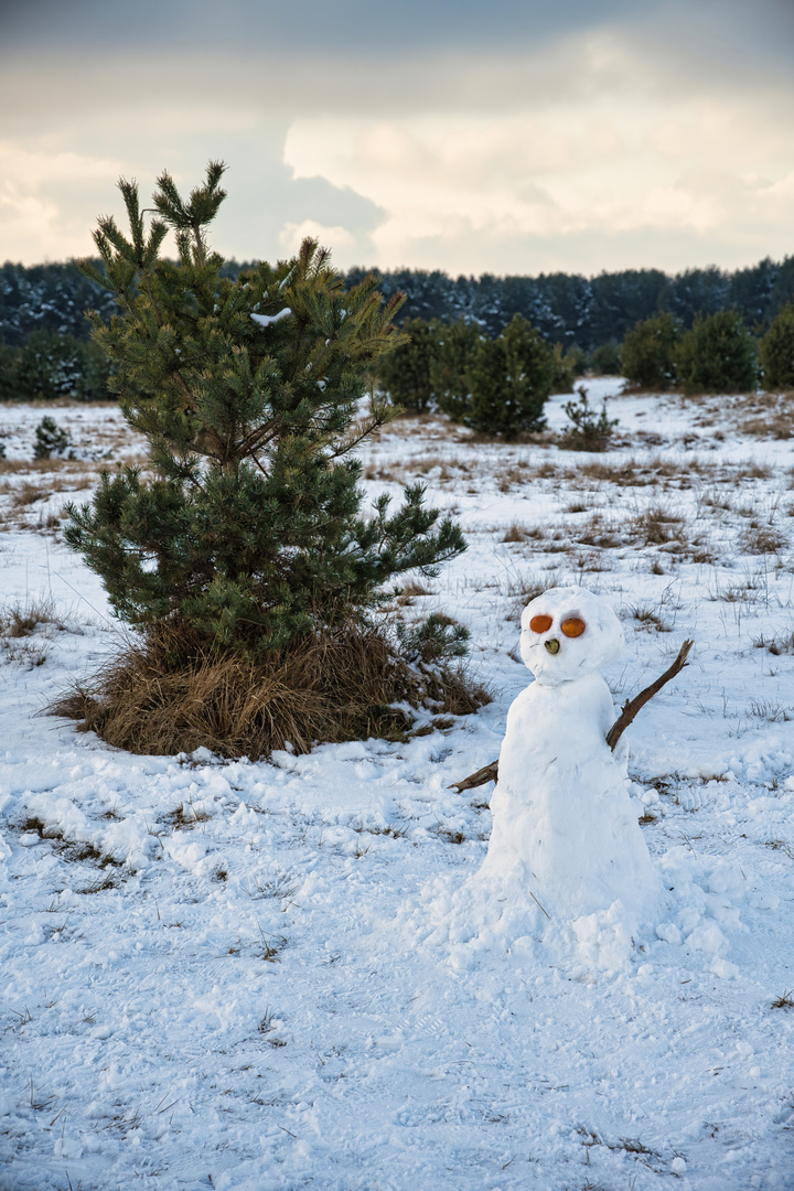 Gruß vom Schneemann