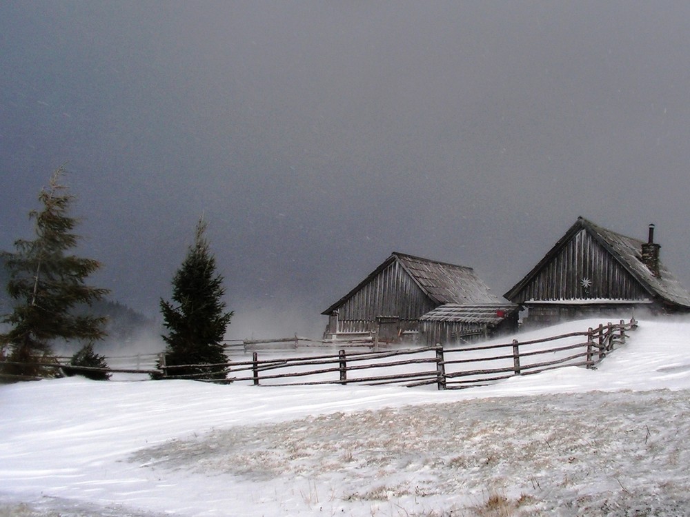 Gruß vom Winter