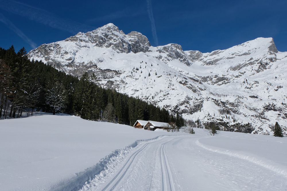 Gruss von der Loipe